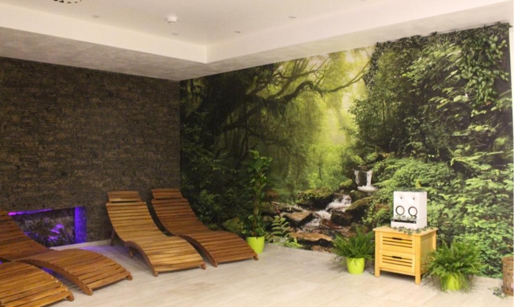 Relax Pension Schonwald Budisov nad Budisovkou Екстер'єр фото